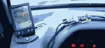 Palm -  
